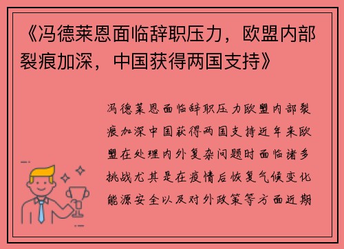 《冯德莱恩面临辞职压力，欧盟内部裂痕加深，中国获得两国支持》