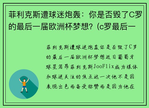 菲利克斯遭球迷炮轰：你是否毁了C罗的最后一届欧洲杯梦想？(c罗最后一次欧洲杯)
