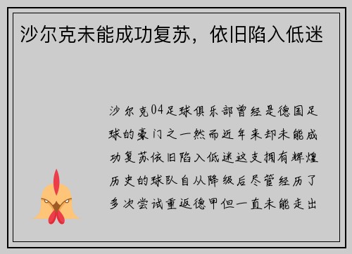 沙尔克未能成功复苏，依旧陷入低迷