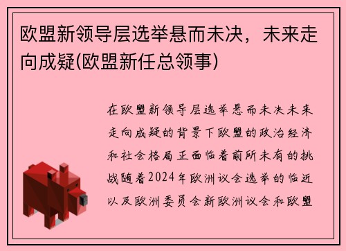 欧盟新领导层选举悬而未决，未来走向成疑(欧盟新任总领事)
