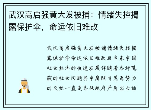 武汉高启强黄大发被捕：情绪失控揭露保护伞，命运依旧难改