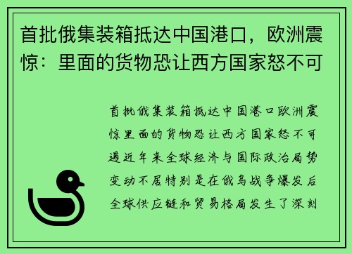 首批俄集装箱抵达中国港口，欧洲震惊：里面的货物恐让西方国家怒不可遏
