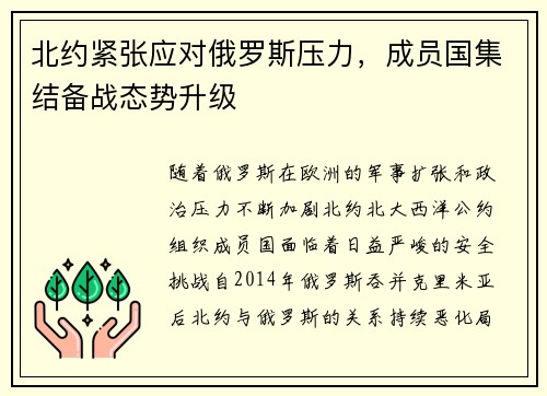北约紧张应对俄罗斯压力，成员国集结备战态势升级